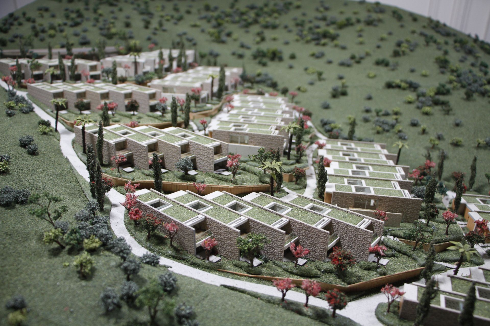 Barbaros Valley – görsel 2