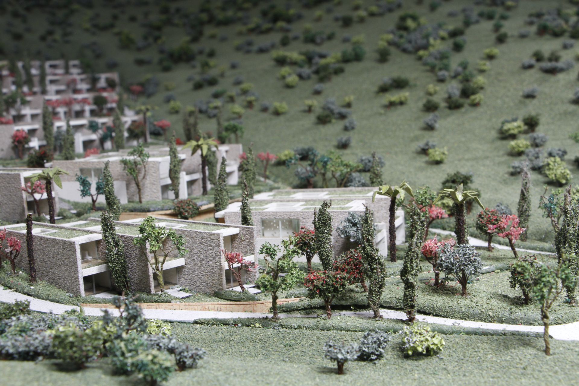 Barbaros Valley – görsel 3