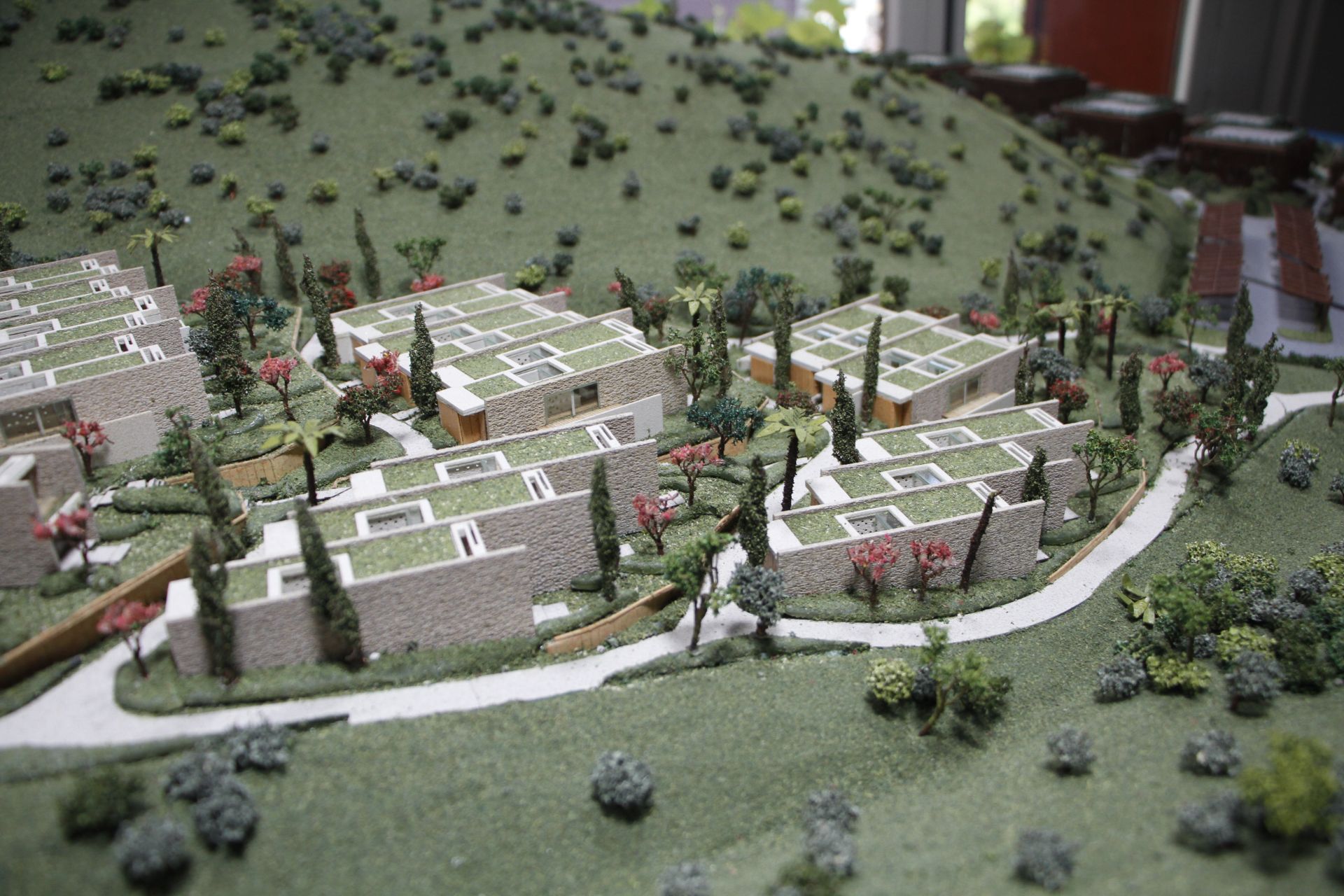 Barbaros Valley – görsel 5