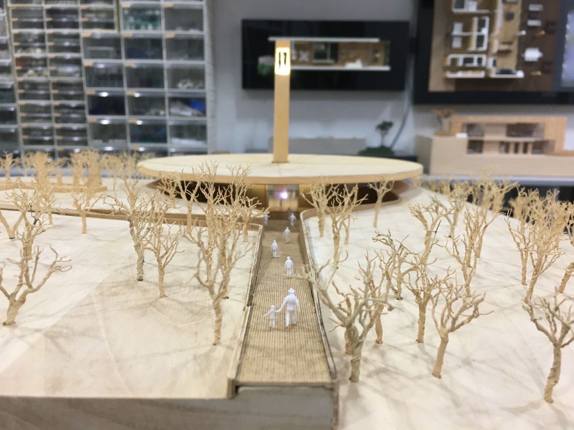 Hayreddin-i Tokadi Türbesi, Yeşil Camii – görsel 4